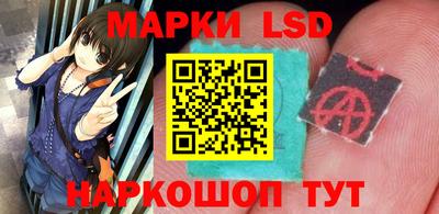 МДПВ Новозыбков