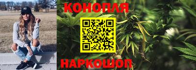 МДПВ Новозыбков