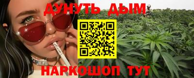 МДПВ Новозыбков
