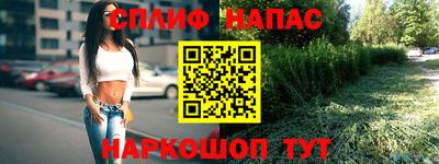 МДПВ Новозыбков