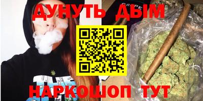 МДПВ Новозыбков
