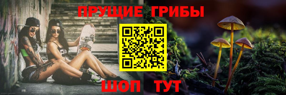 Фурманов  Псилоцибиновые грибы мухоморы  Вход с VPN 